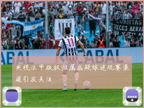 央视法甲版权归属成疑球迷观赛渠道引发关注