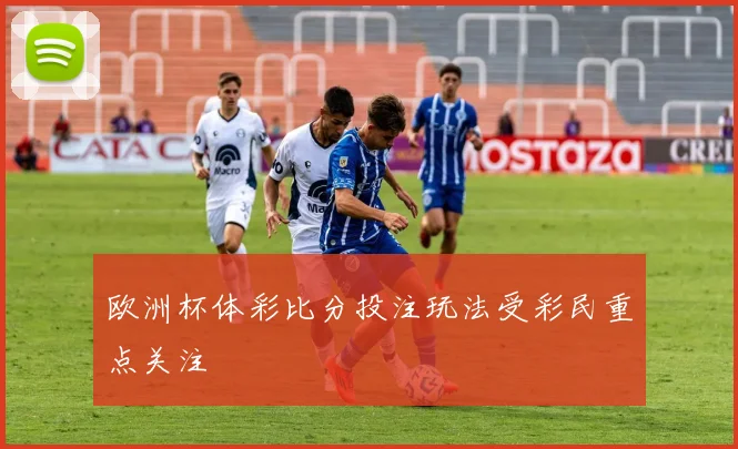 欧洲杯体彩比分投注玩法受彩民重点关注